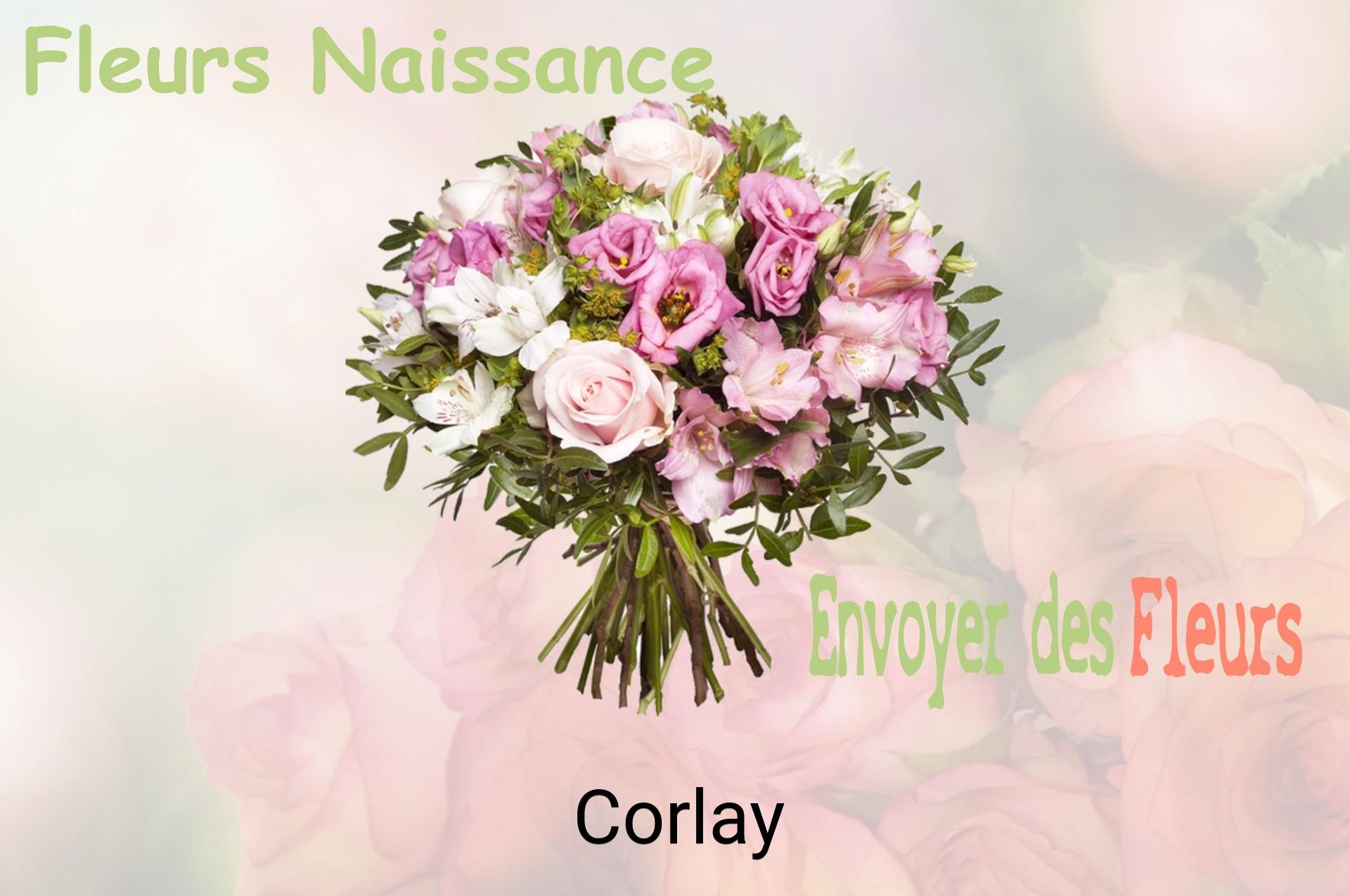 Bouquet de fleurs de naissance livré à Corlay